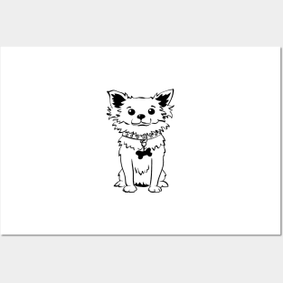 Funny dog long-coat chihuahua Posters and Art